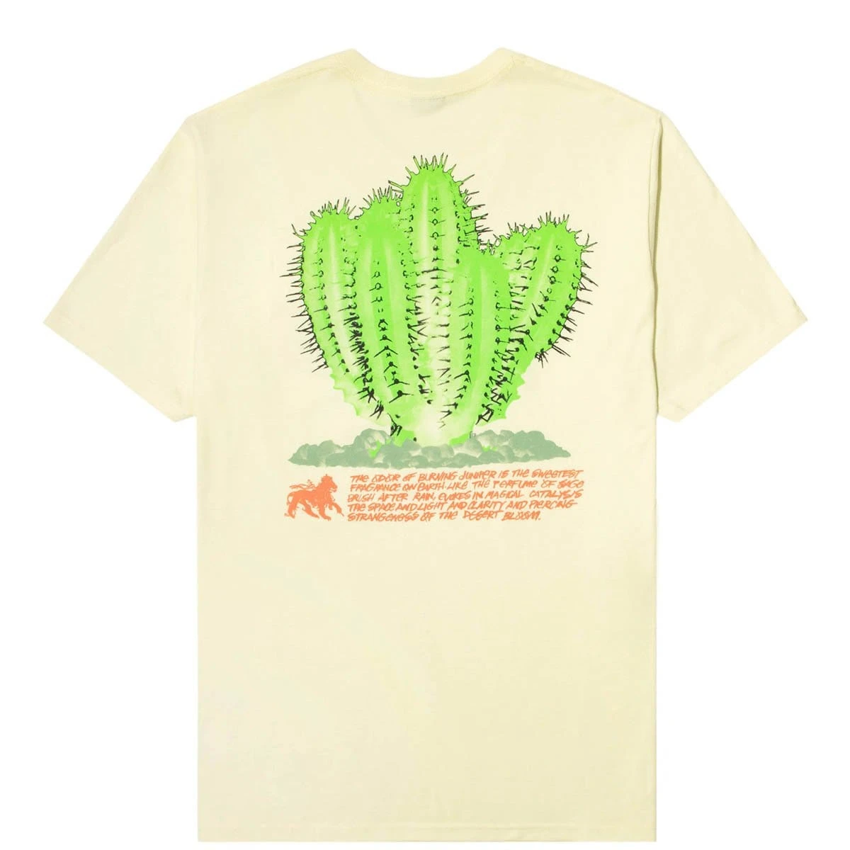 Stüssy DESERT BLOOM TEE - Image 2