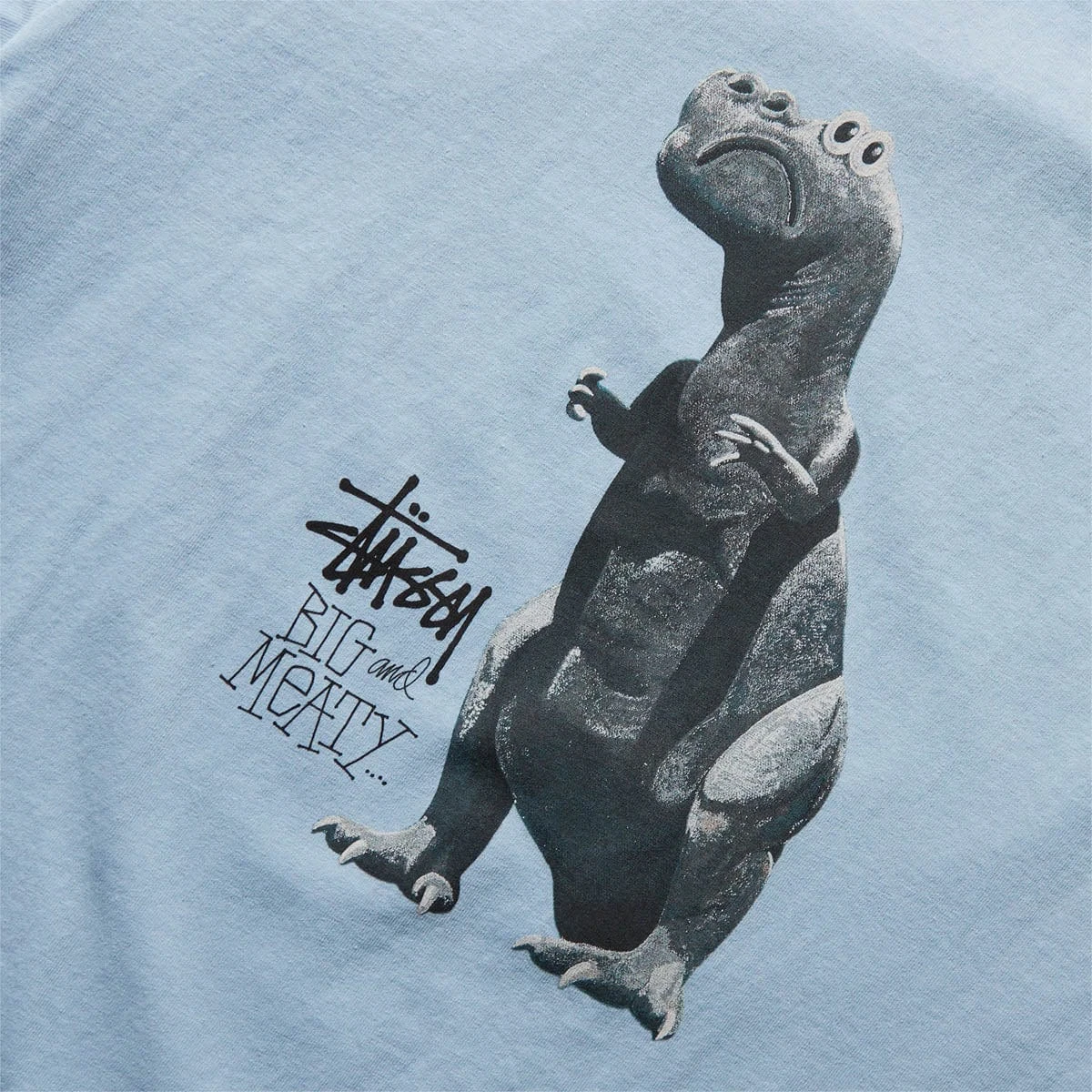Stüssy BIG & MEATY PIG. DYED TEE - Image 2