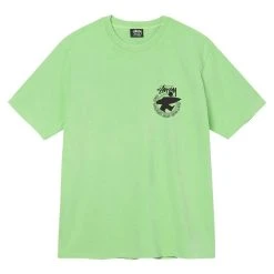 Stüssy BEACH ROOTS PIGMENT DYED TEE