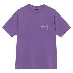 Stüssy BIG LEAGUE PIG. DYED TEE