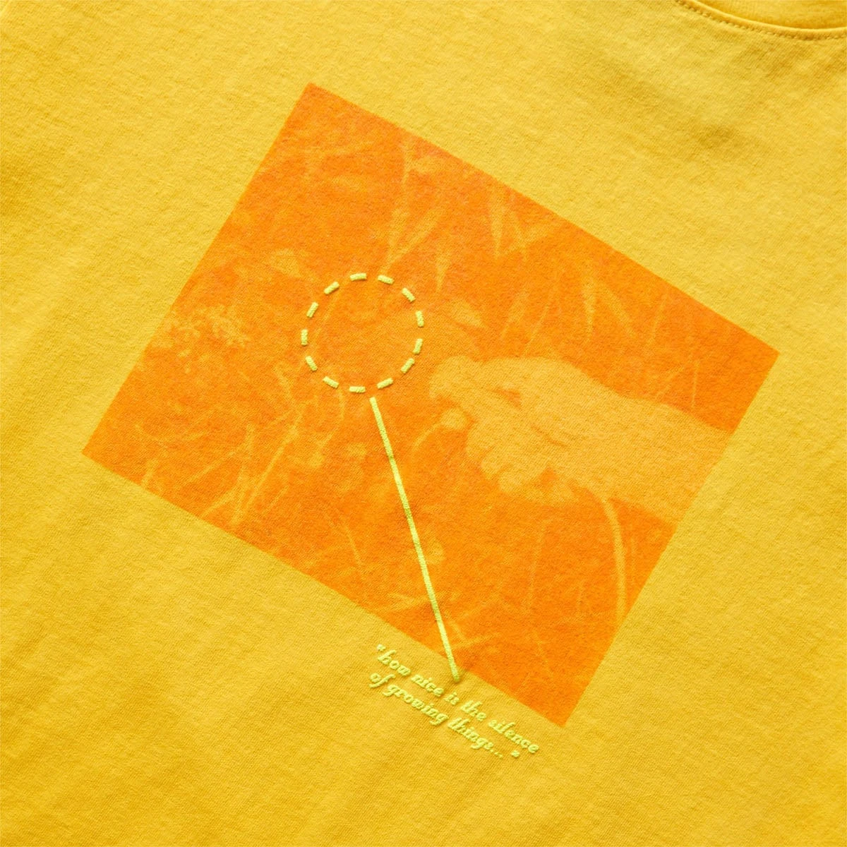 ALLCAPSTUDIO PLANT SOUND T-SHIRT - Image 4