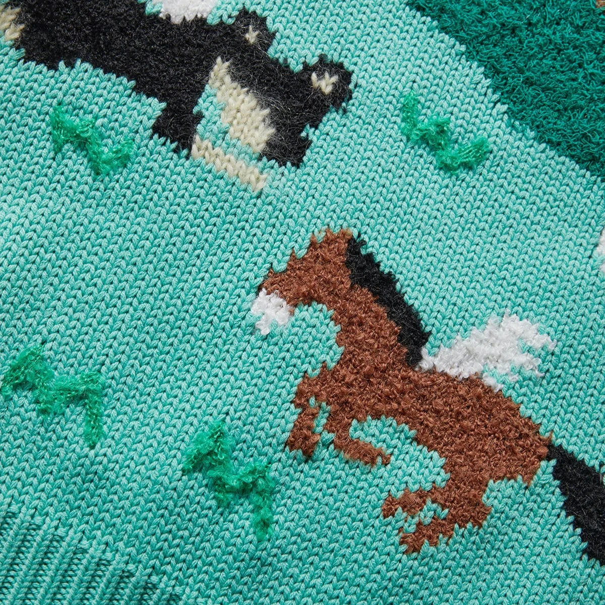 Andersson Bell SUMMER GARDEN INTARSIA SWEATER - Image 3