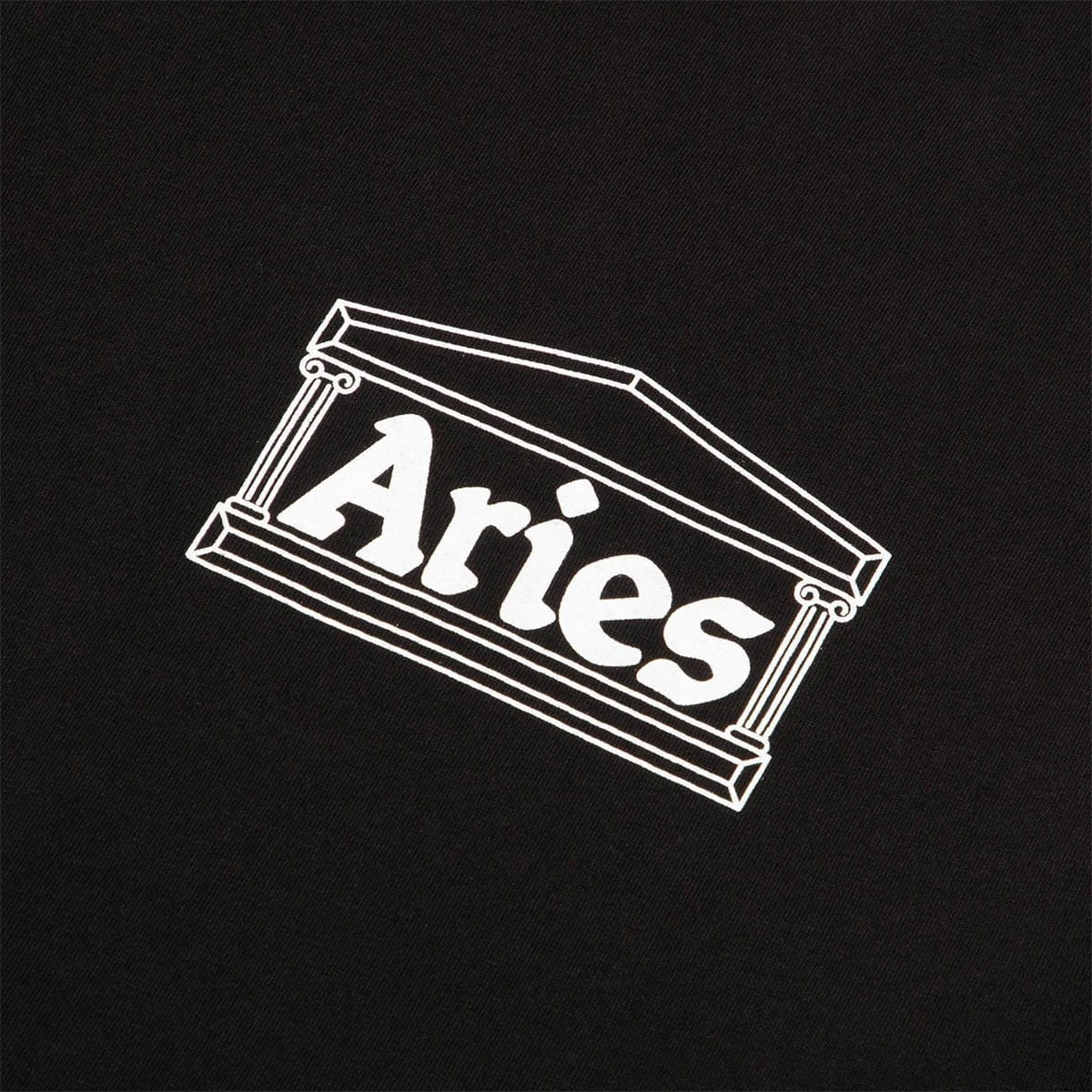 Aries SKATE SS TEE - Image 5