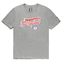 NEW ERA NEW ENGLAND PATRIOTS ICON T-SHIRT