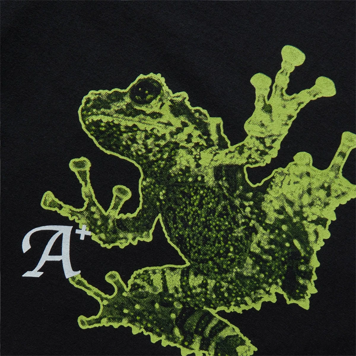 Perks And Mini FROG SS TEE - Image 3