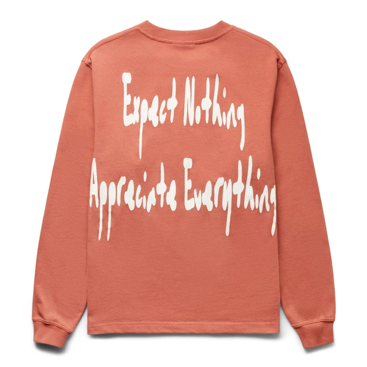 Pleasures HATED LONGSLEEVE T-SHIRT - Image 2