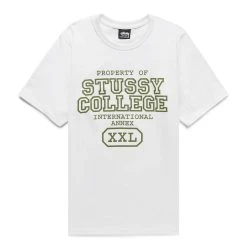 Stüssy PROPERTY OF T-SHIRT