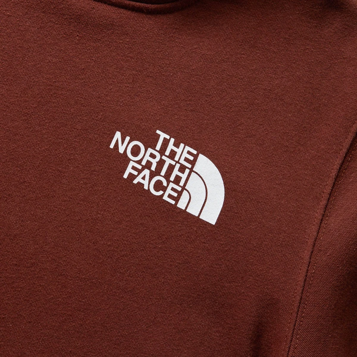 The North Face BOX NSE PULLOVER HOODIE - Image 3