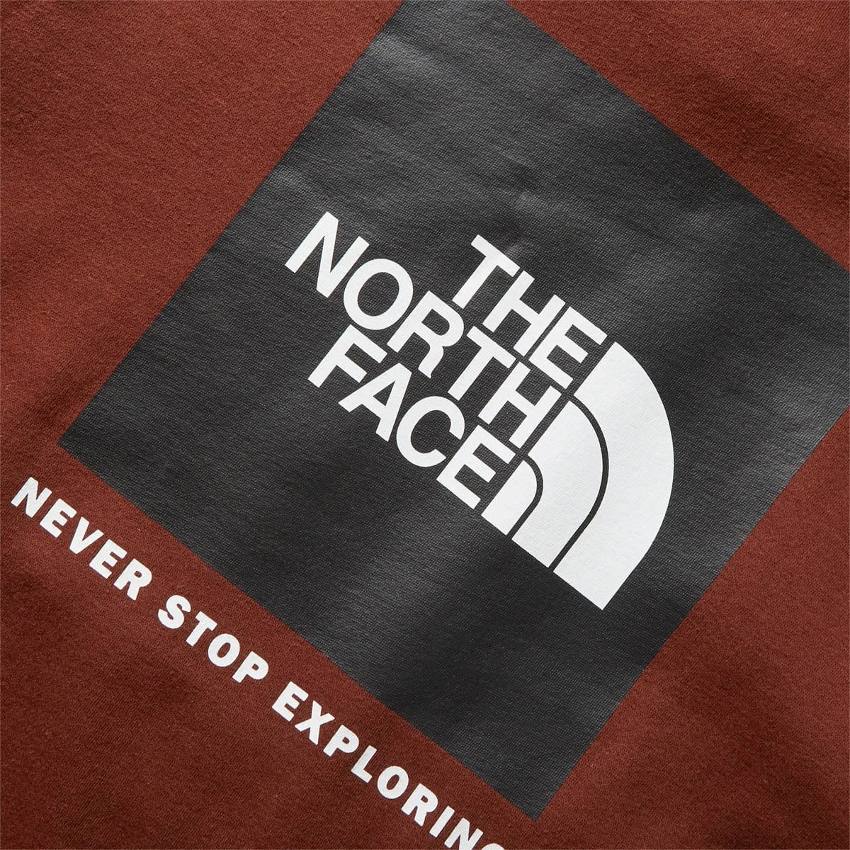 The North Face BOX NSE PULLOVER HOODIE - Image 5